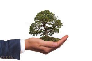 ISO 14001 Consultants in Bangalore